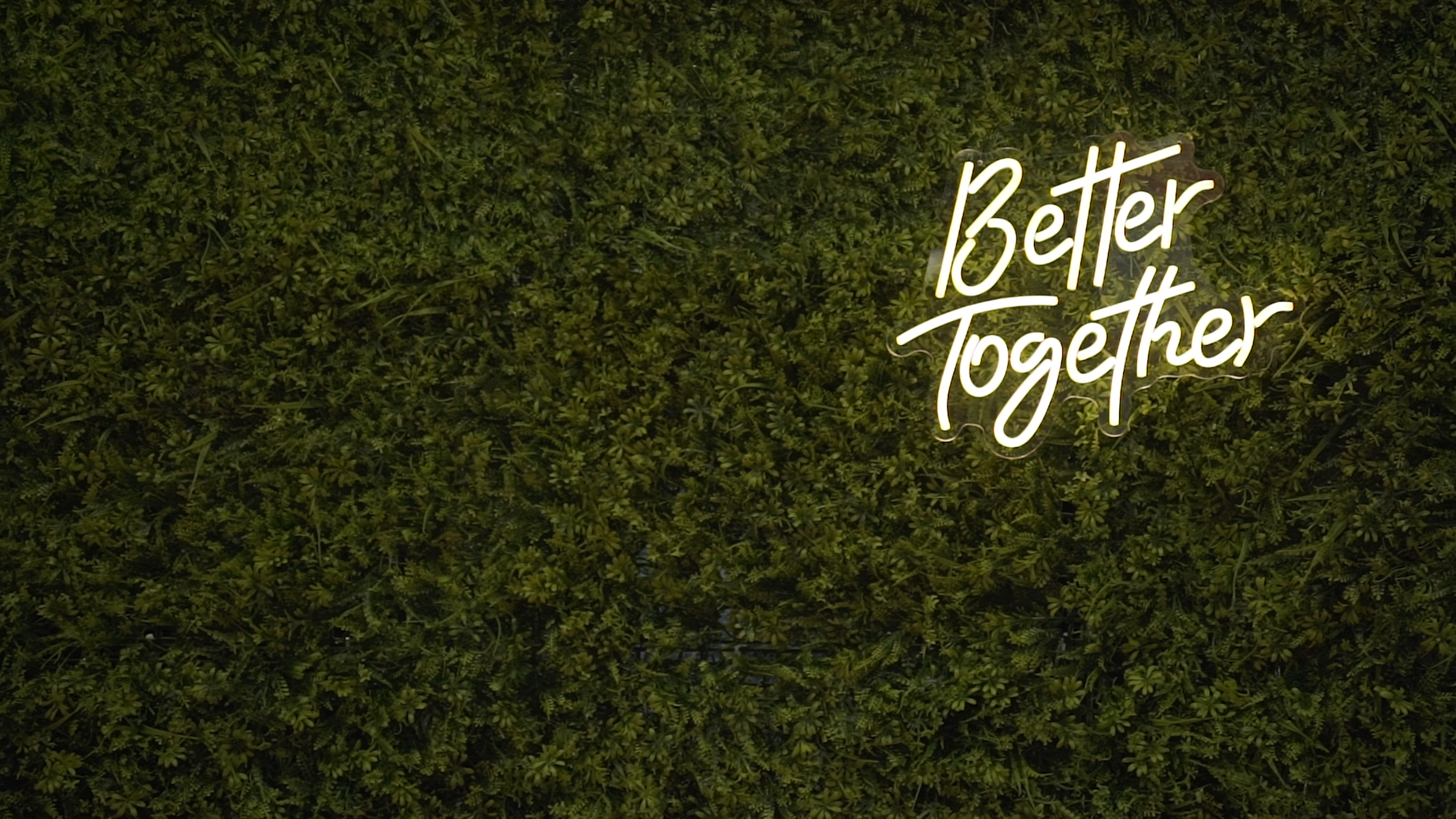 Text 'Better Together' on a textured green background